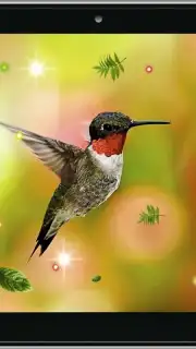 Colibri Spring 3D LWP capture 4