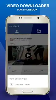 Facebook Video Downloader Pro capture 1