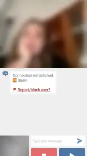 Minichat capture 4
