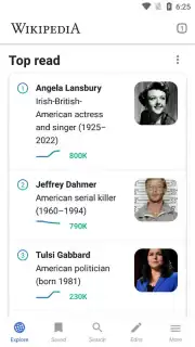 Wikipedia capture 1