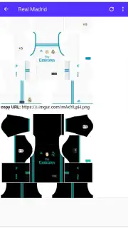 DLS Kits capture 4