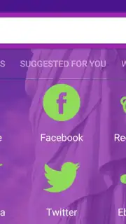 usa web browser capture 1
