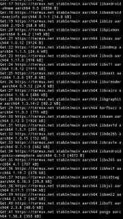 Termux capture 1