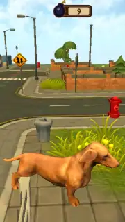 Doggy Dog Universe capture 4