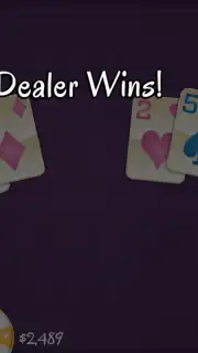 BlackJack 21 Pro capture 3