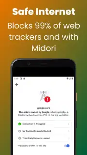 Midori Browser capture 5
