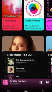 TikTok Music capture 9
