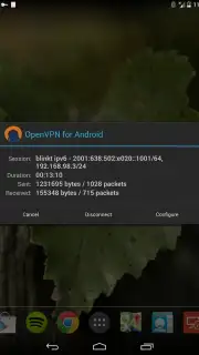OpenVPN capture 10