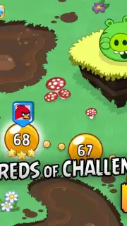 Angry Birds capture 6