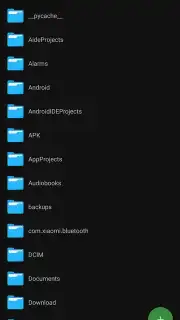 SV File Manager capture 2