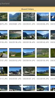 DS file capture 10