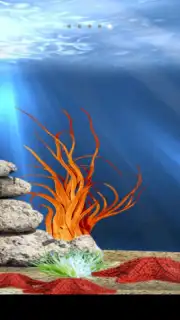 Tropical aquarium capture 5