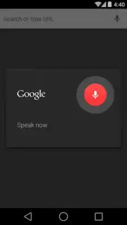 Chrome Beta capture 13