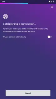 Tor Browser capture 24
