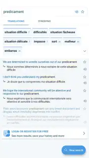 Reverso Translation Dictionary capture 3