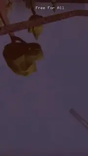 GoreZone capture 5