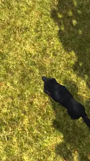 Wild Life: Wolf Clan capture 1