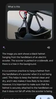 Google Gemini capture 17