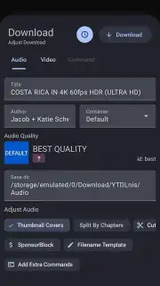 YTDLnis capture 16