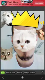 InstaBeauty capture 1