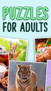 Puzzles without Internet capture 9