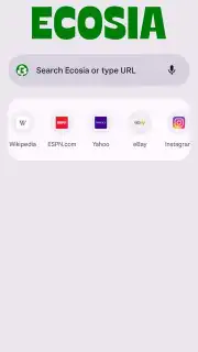 Chrome Beta capture 24