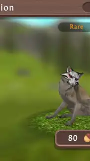 WildCraft capture 8