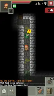 Yet Another Pixel Dungeon capture 4