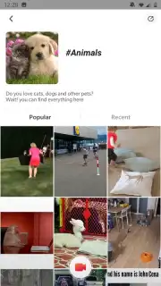 Zili capture 8