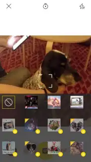 V Camera capture 8