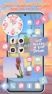 WidgetKit capture 5