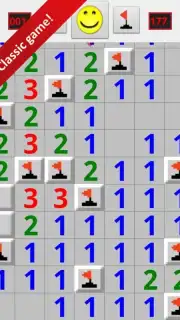 Minesweeper for Android capture 4