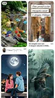 Pinterest capture 1