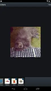 Talkray capture 2