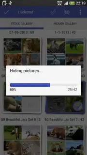 Gallery Plus - Hide Pictures capture 1
