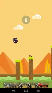 Spring Ninja capture 4