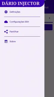 DÁRIO INJECTOR capture 1