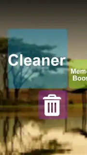 Cleaner capture 8