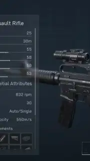 Delta Force capture 6