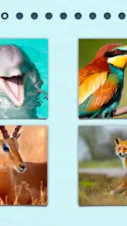 Puzzles without Internet capture 3
