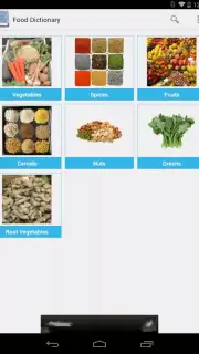 Food Dictionary capture 14