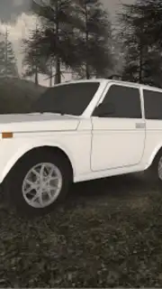 Forest Roads. Niva capture 5