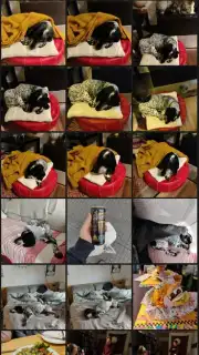 Vertical Gallery capture 4