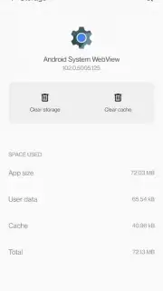 Android System WebView capture 12