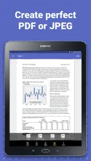 FineReader capture 2