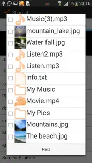 Share it capture 1
