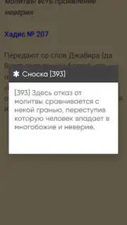 САХИХ МУСЛИМ capture 2