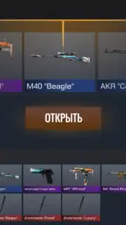 Standoff 2 Case Simulator capture 4