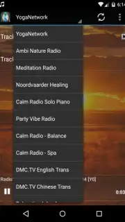 The Reiki Channel capture 2