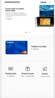 Samsung Pay capture 2